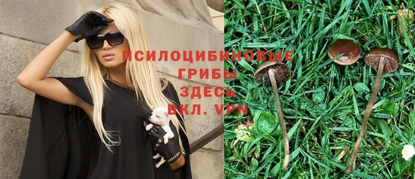 крисы Надым