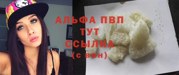 крисы Надым
