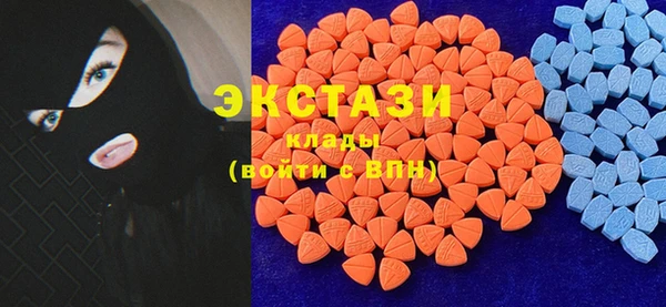 крисы Надым
