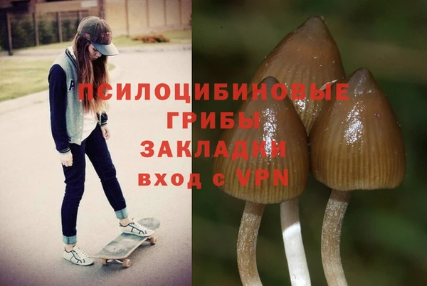 ECSTASY Нея